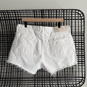 Agolde Parker Vintage Cut Off Shorts
